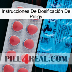 Instrucciones De Dosificación De Priligy new14